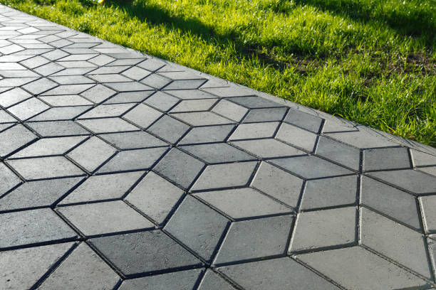 Best Professional Driveway Pavers  in Avra Valley, AZ