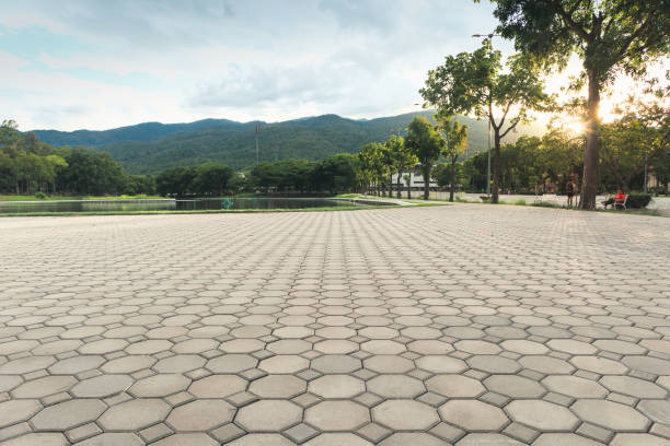 Best Brick Driveway Pavers  in Avra Valley, AZ